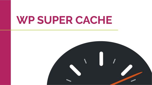 WP Super Cache – Raney Day Design
