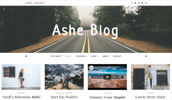 Ashe Theme Review 2022 - Is it Best WordPress Blog Theme?