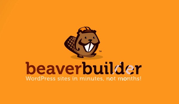 Beaver Builder được đánh giá cao về khả năng tương thích với các theme WordPress