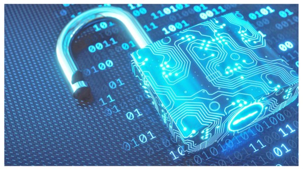 Các yếu cân nhắc khi lựa chọn Patchstack vs Wordfence phù hợp